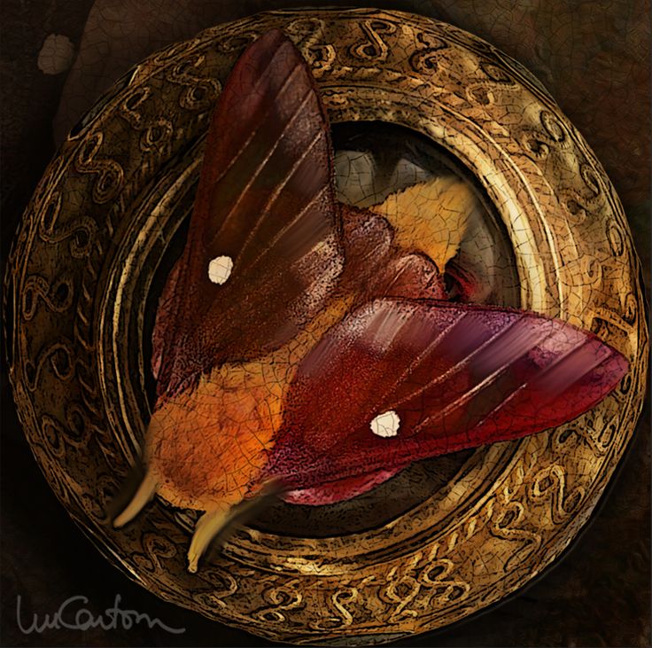 802f14754da44bd98619ac5a3ce0cd3e1