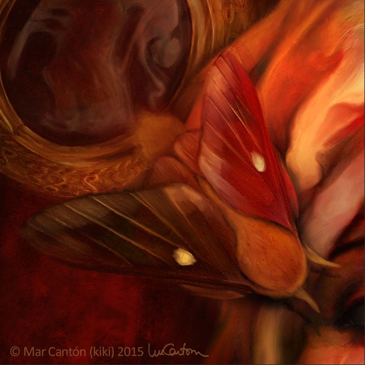 90a15f3e3fded1282a50f6ff4194bddb