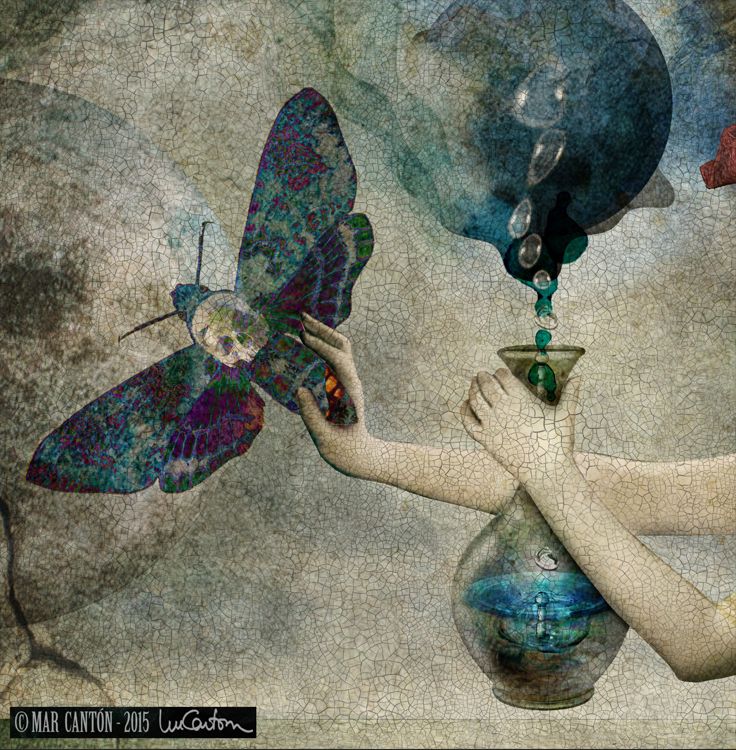 90f8aead85d01468cfeae0a87181e751