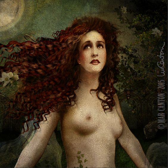 f71d1a22b9cb2ed41852881161306258