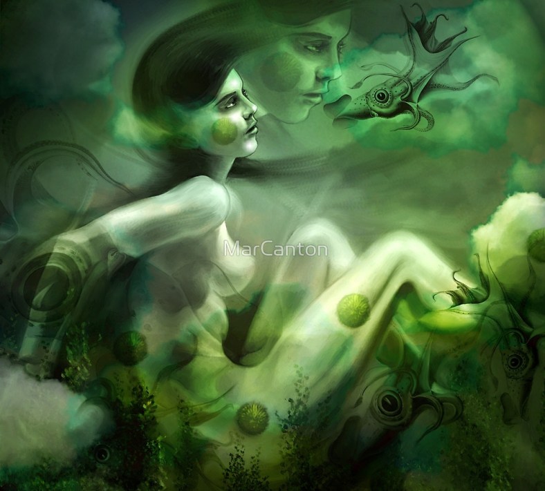 flat1000x1000075f-u2-3