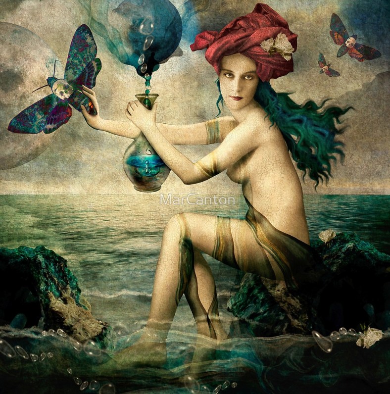 flat1000x1000075f-u2-5