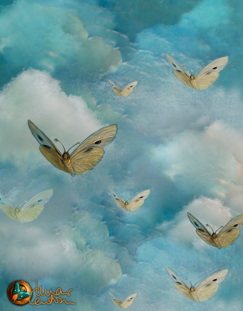 0 cielo mar canton 2018 OK 10000 2018 DET 02 PEQ