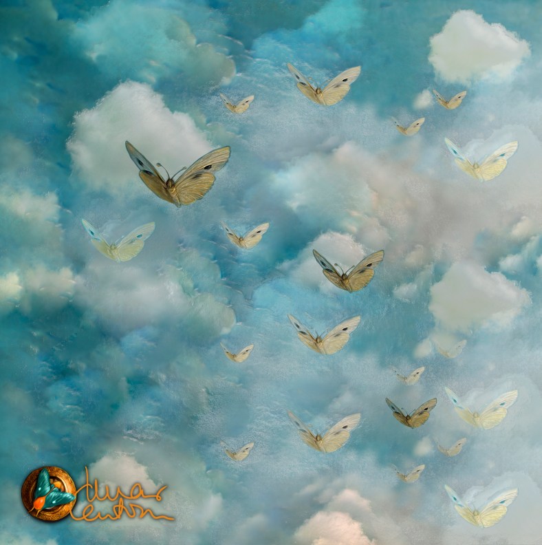 0 cielo mar canton 2018 OK 10000 2018 FIRMA PEQ