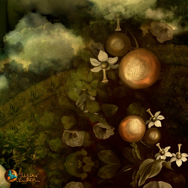 EEEros y Psique mar canton OK 2018 DET 05-PEQ